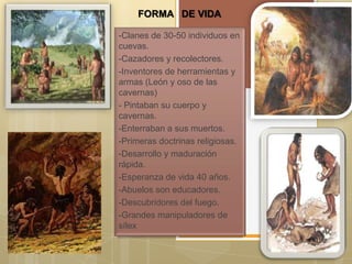 FORMA DE VIDA
-Clanes de 30-50 individuos en
cuevas.
-Cazadores y recolectores.
-Inventores de herramientas y
armas (León y oso de las
cavernas)
- Pintaban su cuerpo y
cavernas.
-Enterraban a sus muertos.
-Primeras doctrinas religiosas.
-Desarrollo y maduración
rápida.
-Esperanza de vida 40 años.
-Abuelos son educadores.
-Descubridores del fuego.
-Grandes manipuladores de
sílex

 