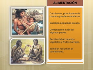 ALIMENTACIÓN
Carnívoros, principalmente
comían grandes mamíferos.
Cazaban pequeñas presas.
Comenzaron a pescar
algunos peces.
Recolectaban muchos
vegetales y frutos salvajes.
También recurrían al
canibalismo.

 
