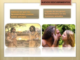 NUEVOS DESCUBRIMIENTOS

 