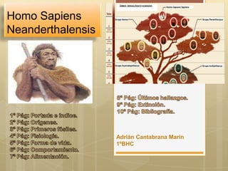 Homo Sapiens
Neanderthalensis

Adrián Cantabrana Marín
1ºBHC

 