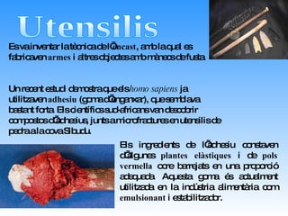 Utensilis Es va inventar la tècnica de l’ encast , amb la qual es fabricaven  armes  i altres objectes amb mànecs de fusta. Un recent estudi demostra que els  homo sapiens  ja utilitzaven  adhesiu  (goma d’enganxar), que semblava bastant forta. Els científics sud-africans van descobrir compostos d’adhesius, junts a microfractures en utensilis de pedra a la cova Sibudu. Els ingredients de l’adhesiu constaven d’algunes  plantes elàstiques  i de  pols vermella  ocre barrejats en una proporció adequada. Aquesta goma és actualment utilitzada en la indústria alimentària com  emulsionant  i estabilitzador. 