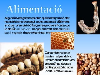 Alimentació Alguns investigadors apunten que la desaparició dels neandertals no era degut a una escassetat d’aliments sinó per una nutrició força menys diversificada que la de l’ homo sapiens , la qual era molt rica en  fruits secs  i  vegetals  rics en vitamines i minerals. Consumien  recursos marins  i  aigua dolça . Prenien aliments baixos en proteïnes, de gran contingut calòric, com la mel. Eren  omnívors . 