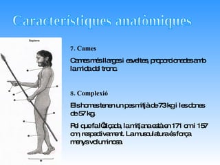 7. Cames Cames més llarges i esveltes, proporcionades amb la mida del tronc. 8. Complexió Els homes tenen un pes mitjà de 73 kg i les dones de 57 kg. Pel que fa l’alçada, la mitjana està en 171 cm i 157 cm, respectivament. La musculatura és força menys voluminosa. Característiques anatòmiques 