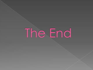 Homo sapiens sapiens