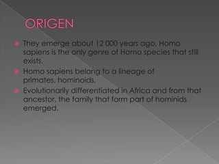 




They emerge about 12 000 years ago, Homo
sapiens is the only genre of Homo species that still
exists.
Homo sapiens belong to a lineage of
primates, hominoids.
Evolutionarily differentiated in Africa and from that
ancestor, the family that form part of hominids
emerged.

 