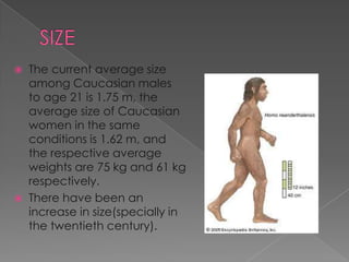 The current average size
among Caucasian males
to age 21 is 1.75 m, the
average size of Caucasian
women in the same
conditions is 1.62 m, and
the respective average
weights are 75 kg and 61 kg
respectively.
 There have been an
increase in size(specially in
the twentieth century).


 