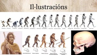 Il·lustracións
 