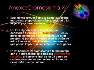    Estos genes influyen sobre la homosexualidad
    masculina, proporcionan mayor fertilidad a las
    mujeres y se heredan de la madre.

   Los investigadores han llegado a esta
    conclusión estudiando el cromosoma X en 40
    pares de hermanos homosexuales. De estas
    parejas, 33 poseían la misma modificación de
    estructura en la parte final de su cromosoma
    que podría implicar a un centenar o más genes.

   En los hombres, el cromosoma X forma pareja
    con el Y para formar los llamados cromosomas
    sexuales, el conjunto final de los 23 pares de
    cromosomas que se encuentran en todas las
    células del cuerpo humano
 