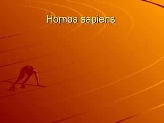 Homos sapiens  
