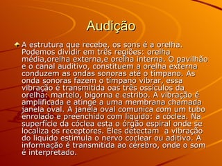 Audição A estrutura que recebe, os sons é a orelha. Podemos dividir em três regiões: orelha média,orelha externa,e orelha interna. O pavilhão e o canal auditivo, constituem a orelha externa conduzem as ondas sonoras até o tímpano. As onda sonoras fazem o tímpano vibrar, essa vibração é transmitida oas três ossículos da orelha: martelo, bigorna e estribo. A vibração é amplificada e atinge a uma membrana chamada janela oval. A janela oval comunica com um tubo enrolado e preenchido com liquido: a cóclea. Na superfície da cóclea esta o órgão espiral onde se localiza os receptores. Eles detectam  a vibração do liquido estimula o nervo coclear ou aditivo. A informação é transmitida ao cérebro, onde o som é interpretado. 