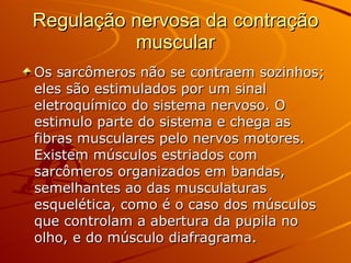 Regulação nervosa da contração muscular Os sarcômeros não se contraem sozinhos; eles são estimulados por um sinal eletroquímico do sistema nervoso. O estimulo parte do sistema e chega as fibras musculares pelo nervos motores. Existem músculos estriados com sarcômeros organizados em bandas, semelhantes ao das musculaturas esquelética, como é o caso dos músculos que controlam a abertura da pupila no olho, e do músculo diafragrama. 
