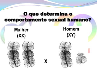 O que determina o
comportamento sexual humano?
 