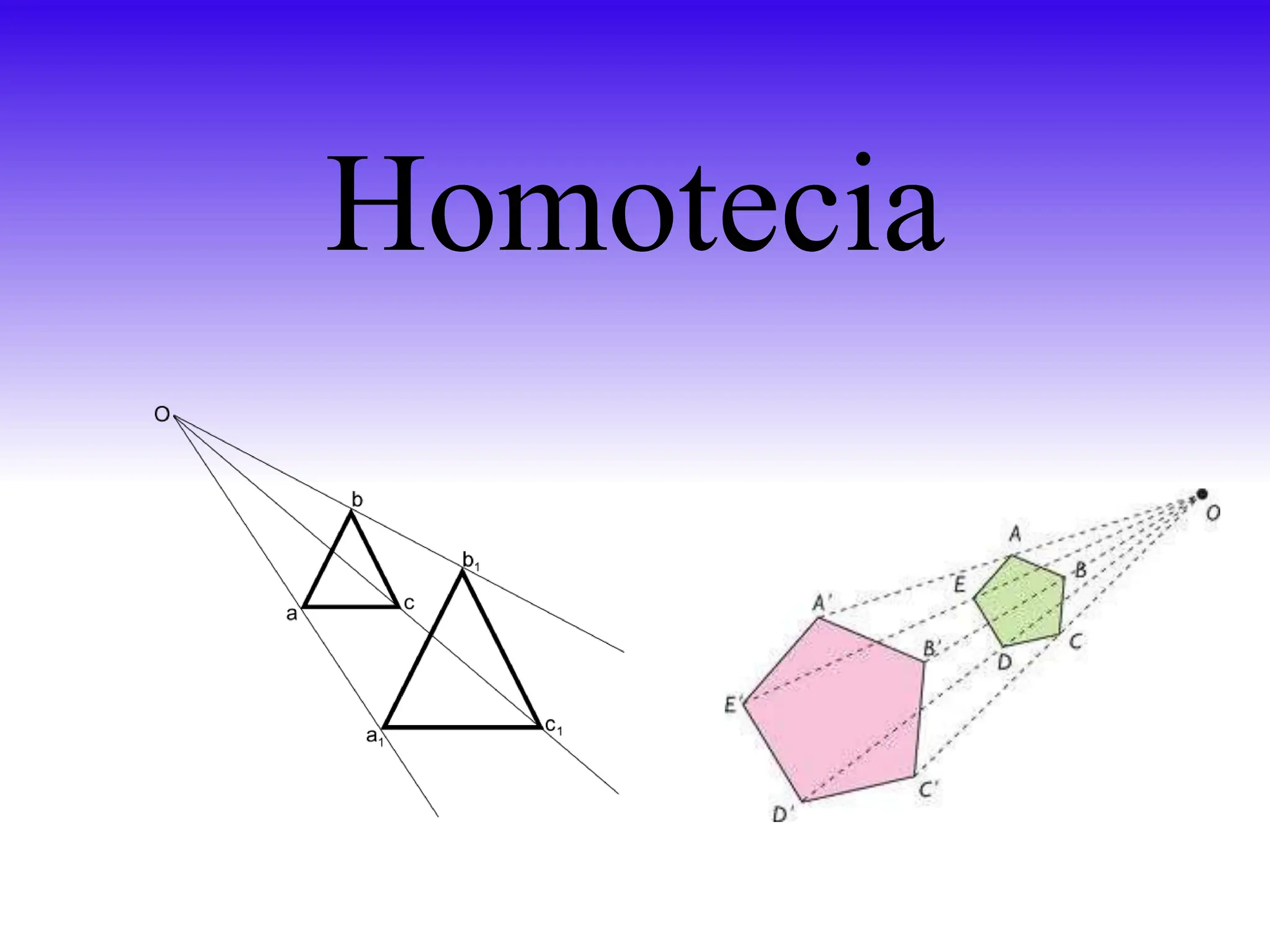 Kalkhoff Entice 3.B Move