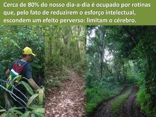 Cerca de 80% do nosso dia-a-dia é ocupado por rotinas
que, pelo fato de reduzirem o esforço intelectual,
escondem um efeito perverso: limitam o cérebro.
 