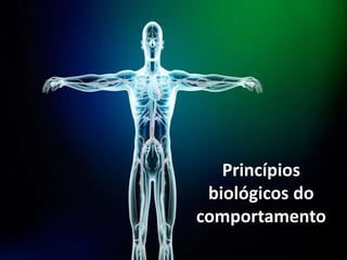 Princípios
biológicos do
comportamento
 