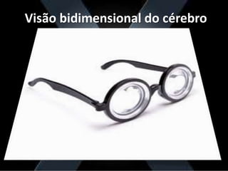 Visão bidimensional do cérebro
 