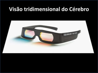 Visão tridimensional do Cérebro
 