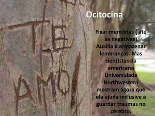 Ocitocina
Fixar memórias ( até
as negativas)
Auxilia a armazenar
lembranças. Mas
cientistas da
americana
Universidade
Northwestern
mostram agora que
ela ajuda inclusive a
guardar traumas no
cérebro.
 