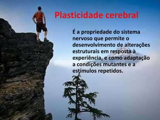 Plasticidade cerebral
É a propriedade do sistema
nervoso que permite o
desenvolvimento de alterações
estruturais em resposta à
experiência, e como adaptação
a condições mutantes e a
estímulos repetidos.
 