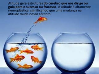 Atitude gera estruturas do cérebro que nos dirige ou
guia para o sucesso ou fracasso. A atitude é altamente
neuroplástica, significando que uma mudança na
atitude muda nosso cérebro.
 
