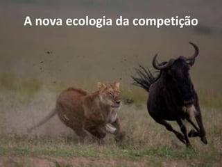 A nova ecologia da competição
 