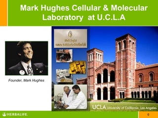Mark Hughes Cellular & Molecular
           Laboratory at U.C.L.A




Founder, Mark Hughes




                                     6
 
