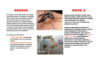 DENGUE                                        GRIPE A
El dengue es una enfermedad viral aguda       La gripe porcina (también conocida como
que puede afectar a personas de cualquier     influenza porcina o gripe del cerdo) es una
edad, siendo más susceptibles los niños y     enfermedad infecciosa causada por cualquier
las personas mayores y cuyo vector o          virus perteneciente a la familia
agente transmisor es el mosquito Aedes        Orthomyxoviridae y que es endémica en
aegypti (Clase: Insectos, Orden: Dípteros).   poblaciones porcinas.
Es una enfermedad eminentemente urbana
y en Asia se han citado a otros mosquitos     Aunque la gripe porcina no afecta con
del género Aedes como vectores de menor       regularidad a la población humana, existen
importancia, pero no en América.              casos esporádicos de infecciones en
                                              personas. Generalmente, estos casos se
Se presenta en dos formas:                    presentan en quienes trabajan con aves de
                                              corral y con cerdos, especialmente los
      - Fiebre del dengue: enfermedad         sujetos que se hallan expuestos
     de tipo gripal, rara vez causal de       intensamente a este tipo de animales, y
     muerte.                                  tienen mayor riesgo de infección en caso de
      - Fiebre hemorrágica del dengue:        que éstos porten alguna cepa viral que
     enfermedad más grave que puede           también sea capaz de infectar a los
     ocasionar hemorragias y hasta la         humanos
     muerte, sumamente grave en
     niños.
 