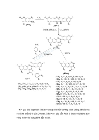 O O
N
H
S
R2
N
H
R2 O
O R2
NH2
R1
O O
O
O R2
R1
R1 R1
N S
O
N
O
R2 O
R1
O
O R2
N
R1
S
O
O
O
O R2
R1
N S
O
N
O
R2 O
R1
R4
R3
CS2
CH3COONa
Br-CH2-COOC2H5
CH3COONa
HCl 2%
CHO
R3
R4
(9a-c)
(10a-c)
(11a-c)
(12a-c)
(13a-c)
(9a), (10a), (11a), (13a): R1=H, R2=CH3
(9b), (10b), (11b), (13b): R1=CH3, R2=CH3
(9c), (10c), (11c), (13c): R1=H, R2=H
(12a): R1=H, R2=CH3, R3=H, R4=H
(12b): R1=CH3, R2=CH3, R3=H, R4=H
(12c): R1=H, R2=H, R3=H, R4=H
(12d): R1=H, R2=CH3, R3=CF3, R4=H
(12e): R1=CH3, R2=CH3, R3=CF3, R4=H
(12f): R1=H, R2=H, R3=CF3, R4=H
(12g): R1=H, R2=CH3, R3=F, R4=H
(12h):R1=CH3, R2=CH3, R3=F, R4=H
(12i): R1=H, R2=H, R3=F, R4=H
(12j): R1=H, R2=CH3, R3=H, R4=F
(12k): R1=CH3, R2=CH3, R3=H, R4=F
(12l): R1=H, R2=H, R3=H, R4=F
Kết quả thử hoạt tính sinh học cũng cho thấy đường kính kháng khuẩn của
các hợp chất từ 9 đến 20 mm. Như vậy, các dẫn xuất 6-aminocoumarin này
cũng ở mức từ trung bình đến mạnh.
 