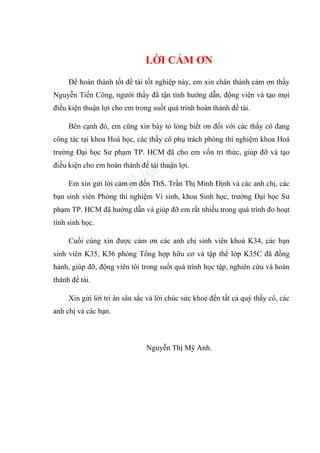LỜI CẢM ƠN
Để hoàn thành tốt đề tài tốt nghiệp này, em xin chân thành cảm ơn thầy
Nguyễn Tiến Công, người thầy đã tận tình hướng dẫn, động viên và tạo mọi
điều kiện thuận lợi cho em trong suốt quá trình hoàn thành đề tài.
Bên cạnh đó, em cũng xin bày tỏ lòng biết ơn đối với các thầy cô đang
công tác tại khoa Hoá học, các thầy cô phụ trách phòng thí nghiệm khoa Hoá
trường Đại học Sư phạm TP. HCM đã cho em vốn tri thức, giúp đỡ và tạo
điều kiện cho em hoàn thành đề tài thuận lợi.
Em xin gửi lời cảm ơn đến ThS. Trần Thị Minh Định và các anh chị, các
bạn sinh viên Phòng thí nghiệm Vi sinh, khoa Sinh học, trường Đại học Sư
phạm TP. HCM đã hướng dẫn và giúp đỡ em rất nhiều trong quá trình đo hoạt
tính sinh học.
Cuối cùng xin được cảm ơn các anh chị sinh viên khoá K34, các bạn
sinh viên K35, K36 phòng Tổng hợp hữu cơ và tập thể lớp K35C đã đồng
hành, giúp đỡ, động viên tôi trong suốt quá trình học tập, nghiên cứu và hoàn
thành đề tài.
Xin gửi lời tri ân sâu sắc và lời chúc sức khoẻ đến tất cả quý thầy cô, các
anh chị và các bạn.
Nguyễn Thị Mỹ Anh.
 