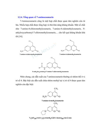 I.2.4. Tổng quan về 7-aminocoumarin
7-Aminocoumarin cũng là một hợp chất được quan tâm nghiên cứu từ
lâu. Nhiều hợp chất được tổng hợp và thử khả năng kháng khuẩn. Một số chất
như 7-amino-4-chloromethylcoumarin, 7-amino-4-zidomethylcoumarin, N-
ankyloxycarbonnyl-7-chloromethylcoumarin,… cho kết quả kháng khuẩn khá
tốt [16].
O
Cl
O
H2N
7-amino-4-chloromethylcoumarin
O
N3
O
H2N
7-amino-4-zidomethylcoumarin
O
Cl
O
N
H
R
O
N-ankyloxycarbonyl-7-amino-7-chloromethylcoumarin
Nhìn chung, các dẫn xuất của 7-aminocoumarin thường có nhóm thế ở vị
trí số 4. Đặc biệt các dẫn xuất chứa nhóm methyl tại vị trí số 4 được quan tâm
nghiên cứu đặc biệt:
O O
H2N
CH3
7-amino-4-methylcoumarin
O
CH3
O
N
7-(1H-pyrrol-1-yl)-4-methyl-2H-1-benzopyran-2-one
 