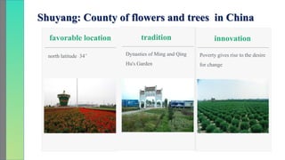 How to Promote Transformation and Upgrading of Agriculture by E-Commerce- ShuYang Case from China