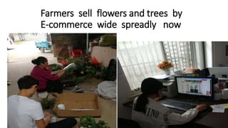 How to Promote Transformation and Upgrading of Agriculture by E-Commerce- ShuYang Case from China