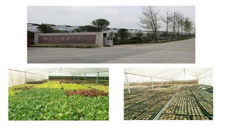 How to Promote Transformation and Upgrading of Agriculture by E-Commerce- ShuYang Case from China