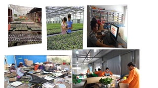 How to Promote Transformation and Upgrading of Agriculture by E-Commerce- ShuYang Case from China