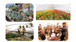 How to Promote Transformation and Upgrading of Agriculture by E-Commerce- ShuYang Case from China