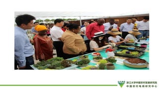 How to Promote Transformation and Upgrading of Agriculture by E-Commerce- ShuYang Case from China