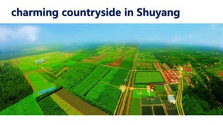 How to Promote Transformation and Upgrading of Agriculture by E-Commerce- ShuYang Case from China