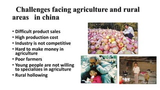 How to Promote Transformation and Upgrading of Agriculture by E-Commerce- ShuYang Case from China