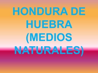 HONDURA DE
HUEBRA
(MEDIOS
NATURALES)

 