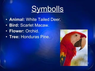 Symbolls Animal:  White Tailed Deer.  Bird:  Scarlet Macaw. Flower:  Orchid. Tree:  Honduras Pine. 