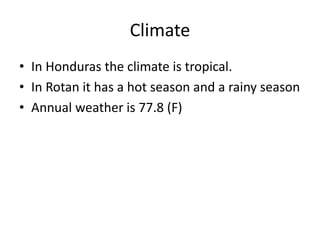 Climate
• In Honduras the climate is tropical.
• In Rotan it has a hot season and a rainy season
• Annual weather is 77.8 (F)
 