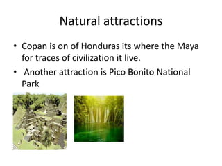 Natural attractions
• Copan is on of Honduras its where the Maya
for traces of civilization it live.
• Another attraction is Pico Bonito National
Park
 