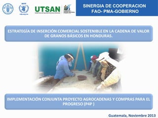SINERGIA DE COOPERACION
FAO- PMA-GOBIERNO

Guatemala, Noviembre 2013

 