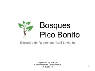 Bosques
              Pico Bonito
Sociedad de Responsabilidad Limitada




           Compensación y PSA para
         Comunidades en Centroamérica
                 9-13/8/2010            1
 