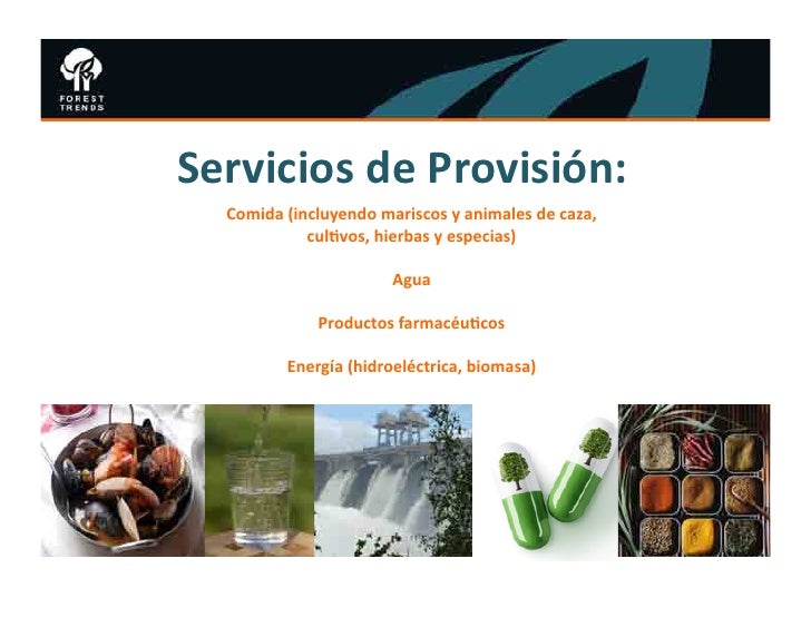 HONDURAS COURSE - Introduccion a los servicios ambientales ...