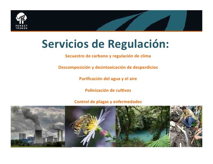 HONDURAS COURSE - Introduccion a los servicios ambientales / Rebecca