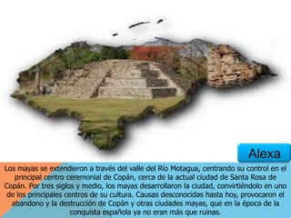 Los mayas se extendieron a través del valle del Río Motagua, centrando su control en el
principal centro ceremonial de Copán, cerca de la actual ciudad de Santa Rosa de
Copán. Por tres siglos y medio, los mayas desarrollaron la ciudad, convirtiéndolo en uno
de los principales centros de su cultura. Causas desconocidas hasta hoy, provocaron el
abandono y la destrucción de Copán y otras ciudades mayas, que en la época de la
conquista española ya no eran más que ruinas.
Alexa
 