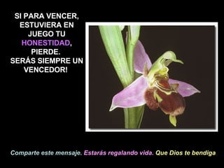 SI PARA VENCER, ESTUVIERA EN JUEGO TU  HONESTIDAD , PIERDE.  SERÁS SIEMPRE UN VENCEDOR!   Comparte este mensaje.   Estar ás  regalando vida.   Que Dios te bendiga . 