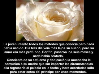 La joven intentó todos los métodos que conocía pero nada había nacido. Día tras día veía más lejos su sueño, pero su amor era más profundo. Por fin, pasaron los seis meses y nada había brotado.  Conciente de su esfuerzo y dedicación la muchacha le comunicó a su madre que sin importar las circunstancias ella regresaría al palacio en la fecha y hora acordadas sólo para estar cerca del príncipe por unos momentos.   