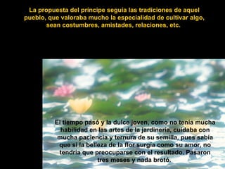 La propuesta del príncipe seguía las tradiciones de aquel pueblo, que valoraba mucho la especialidad de cultivar algo, sean costumbres, amistades, relaciones, etc.   El tiempo pasó y la dulce joven, como no tenía mucha habilidad en las artes de la jardinería, cuidaba con mucha paciencia y ternura de su semilla, pues sabía que si la belleza de la flor surgía como su amor, no tendría que preocuparse con el resultado. Pasaron tres meses y nada brotó.   